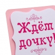 фото Декоративная табличка для фотосессии "Ждем дочку!"